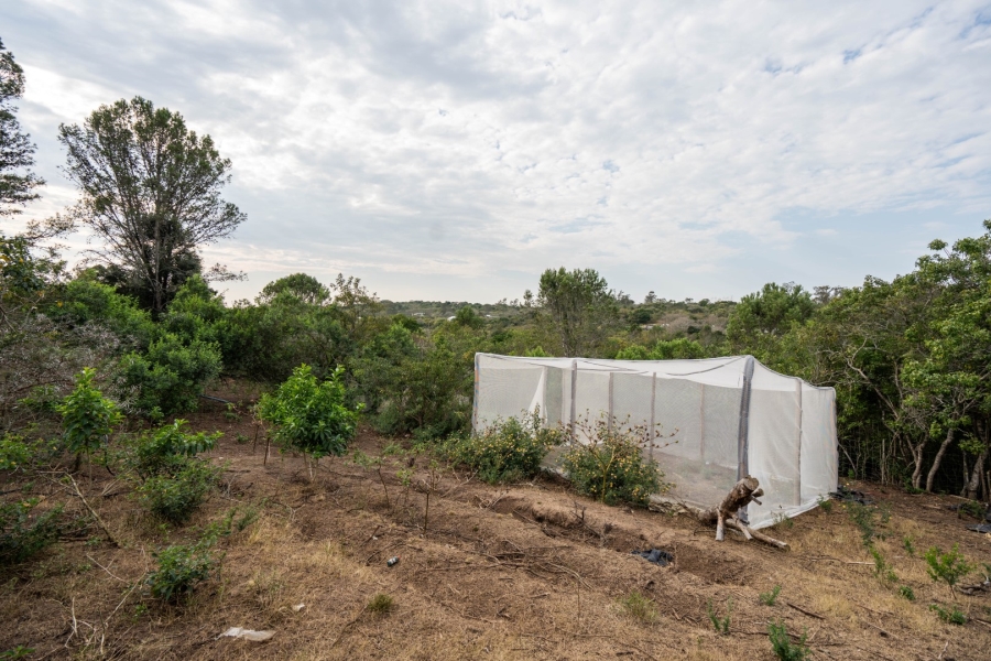 3 Bedroom Property for Sale in Bathurst Eastern Cape